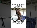 【お馬の雑学】ディープインパクト