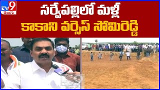 సర్వేపల్లిలో మళ్లీ కాకాని వర్సెస్‌ సోమిరెడ్డి  - TV9