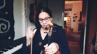 Thomann.de 91 euro Violin Review