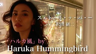 沢田研二／ス・ト・リ・ッ・パ・ー／Haruka Hummingbird 【ハルカ風カヴァー】