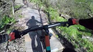 Alameda Single Track MTB