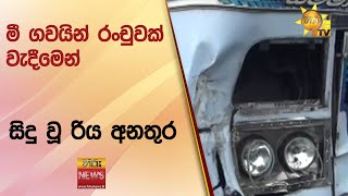 මී ගව‍යින් රංචුවක් වැදීමෙන් සිදු වූ රිය අනතුර - Hiru News