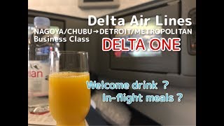 DELTA AIR LINES Business Class (Delta One in the USA)