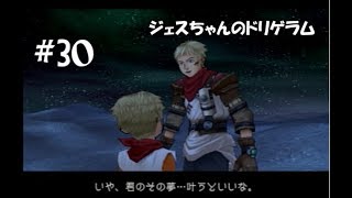 【ローグギャラクシーDC#30】ジェスターのドリゲラム【犬U^ω^Uわんこ】