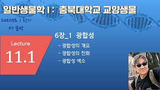 Lecture_11_1_07분반_일반생물학1_CBNU_2021_1