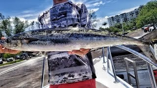 Catch And Cook Kingfish!! Grilled And Delicious!