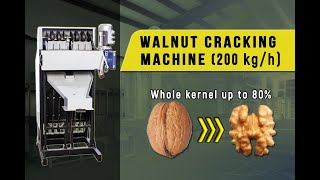 Walnuts cracking machine. Walnuts processing