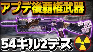 【CODMOBILE】54kill 2death nuke!! bizon custom