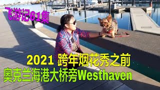 Westhaven新西兰奥克兰跨年烟花秀之前 有好友乐乐陪伴 先逛逛奥克兰westhaven海港 看千帆赏景 -飞游记新西兰第61集