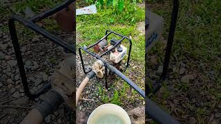 Using water pump to add more water to my fishpond. #pump #simplepump #pumpwell