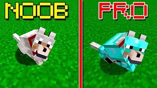 CACHORRO NOOB VS. CACHORRO PRO!! (MINECRAFT)