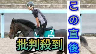 【ＰＯＧ】海外重賞４勝の母を持つディニテ　先々が楽しみなエピファネイア産駒