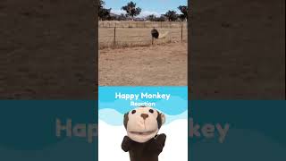 Happy monkey salah pilih lawan