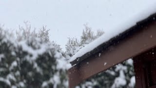 温哥华雪景特别美