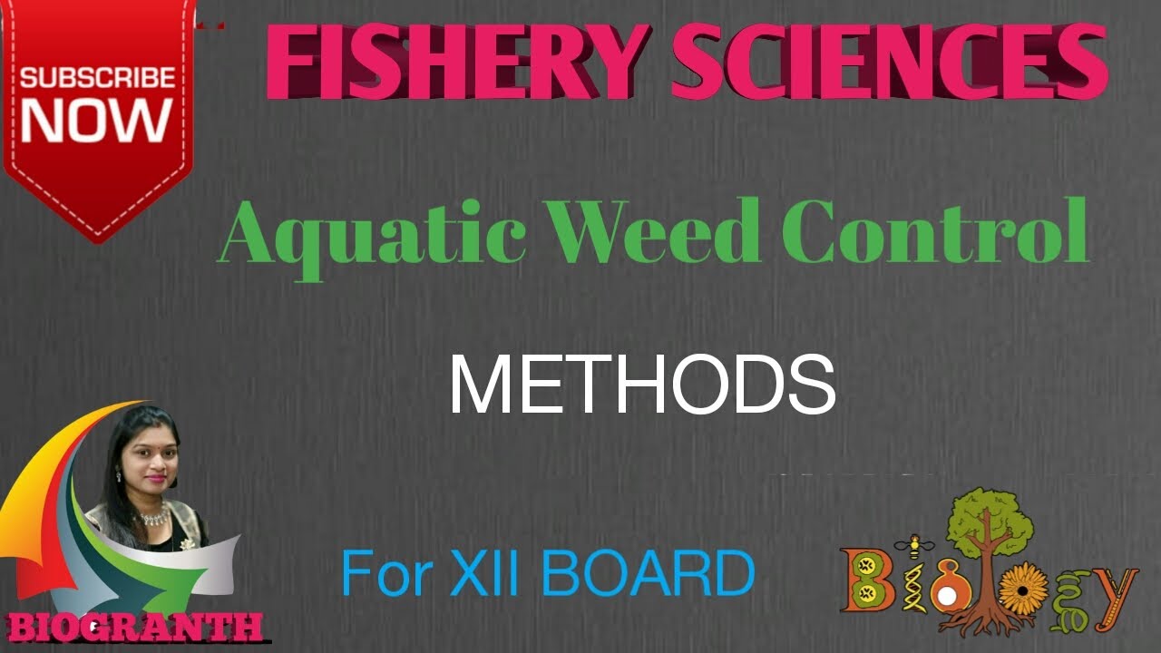 Fisheries Aquatic Weeds Control Methods (12th Board) - YouTube