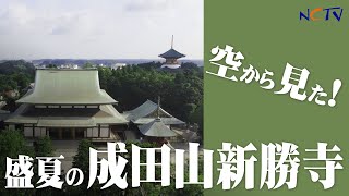 成田山新勝寺（盛夏）編：空から - from the sky  -より