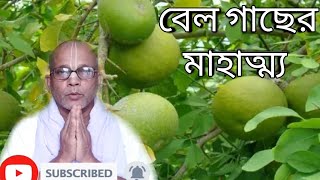 বেল গাছের মাহাত্ম্য//শ্রী বিষ্ণুপদ দাস