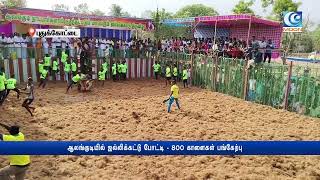 ஆலங்குடியில் ஜல்லிக்கட்டு போட்டி - 800 காளைகள் பங்கேற்பு