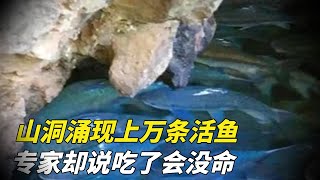 Live fish are pouring out of the cave, but experts warn: you will die if you eat them!