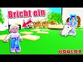 BABY JULY BRICHT BEI MAMA DANIA EIN! Wird sie erwischt & bekommt Ärger? [Roblox Deutsch]