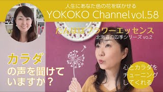 【がんばりすぎのあなたに！】心と体を繋げるたんぽぽフラワーエッセンス！この1本で自分を大切に生きよう！　YOKOKOchvo.58