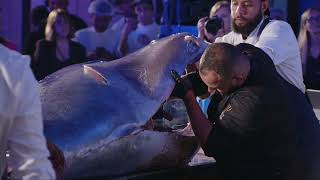 #FMS 2024 Ancient Japanese art of cutting a bluefin tuna specimen -  Kaitai Show - Balfegó