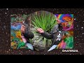 LA VISION DE LA AYAHUASCA TAITA JAVIER RUIZ EXPERIENCIAS CON EXTRATERRESTRES Y LA PLANTA MADRE