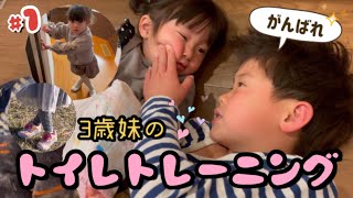 【日常】#1 トイレトレーニング開始！3歳から態度に変化が…。おまるが怖い！ギャン泣きでお兄ちゃん助けて！！