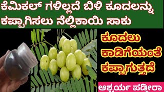 Natural hair dye//ಸೆಕೆಂಡ್ ಗಳಲ್ಲಿ ಯಾವ ಕೆಮಿಕಲ್ ಹೇರ್ ಡೈ ಇಲ್ಲದೆ ಬಿಳಿ ಕೂದಲನ್ನು ಕಪ್ಪಾಗಿಸಿ,😱ಆಶ್ಚರ್ಯ ಪಡ್ತೀರಾ