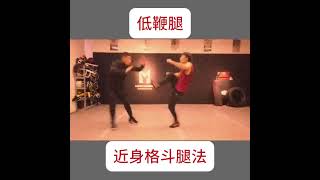 近身格斗 腿法#擒拿格斗#防身术 #kungfu #武術