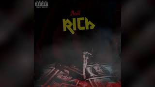 Amil - Rich (Official Audio)