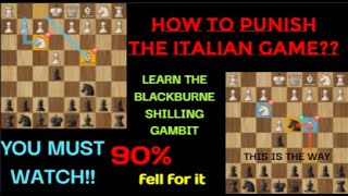 How to punish the Italian game | Blackburne shillong gambit