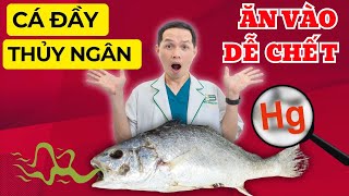 Sự thật đằng sau: 4 loại cá ngậm thủy ngân, ăn nhiều CHẾT ĐỘT TỬ CÓ NGÀY |Dr Hiệp