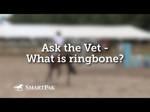 Ask the Vet - What is ringbone? Ask the Vet - What is ringbone?