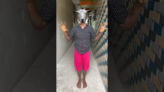 End Mein Dekho Amaya ke papa kyu Bhaag Gye🦓🦒🐘#trending #shortvideo ￼