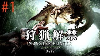 【モンスターハンターワールド】PS4pro版実況#1 \