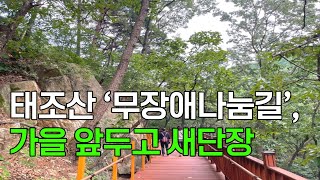 [천안TV 뉴스] 태조산 ‘무장애나눔길’, 가을 앞두고 새단장