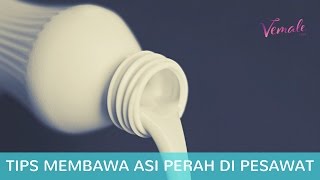 Tips Membawa ASI Perah di Pesawat