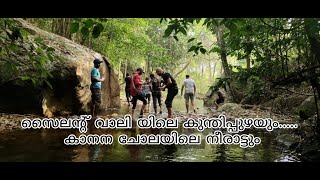 AMAZING DEEP FORESTING സൈലന്റ് വാലിയിലെ കാണാ കാഴ്ച്ചകൾ | Part 2