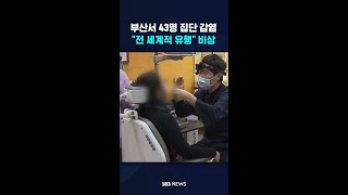 부산서 43명 집단 감염…\