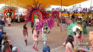 Entrada de la camada de San Francisco Tlacuilohcan 2016