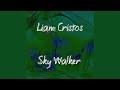 Sky Walker (Original mix)