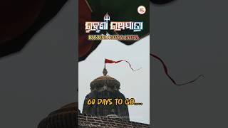 Rukuna Ratha Jatra | 60 Days to go... #Mahadev #Lingaraj_RathJatra #Shiva #Ekamra #Ashokastami