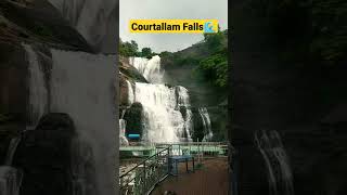 Courtallam Main Falls 🌊 #courtallam #courtallamfalls