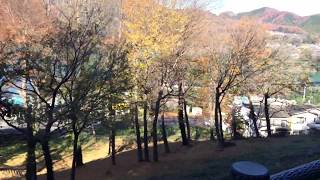 2017年12月6日　津久井城山　遅い紅葉探し