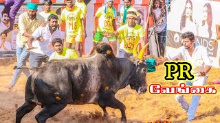 PR.வேங்கை VS PKM செல்வம்| சக்குடி ஜல்லிக்கட்டு 2022|sakkudi jallikattu 2022| manjuvirattu