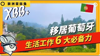 蛋挞兔 | XBB 光有钱包、热血和Plan B还不够 移民葡萄牙生活工作六大必备力