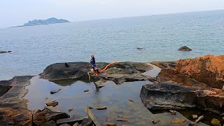 【兄弟趕海】小潮水幾天沒趕海，大熊抽水坑抓到躲藏幾天的海貨，馬上回去賣了