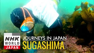 Deep Dive in Sugashima: The Island of Women Fishers - Journeys in Japan