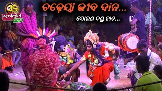 ଚଢ଼େୟା ଜୀବ ଦାନ || ସୋରଣ ଦଣ୍ଡ ନାଚ 2022|| #danda_nacha #jagannath_sanskruti